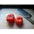 T51 Mati big fruit size indeterminate special tomato seeds